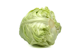Obraz premium Close-up of a fresh, whole head of green cabbage isolated on a bright white background.