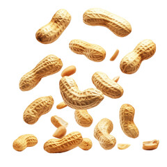 Fresh Peanuts Falling on transparent background