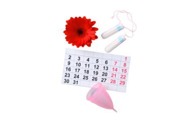 Feminine hygiene and menstruation, Feminine hygiene products with a calendar and flower, isolated on white, PNG