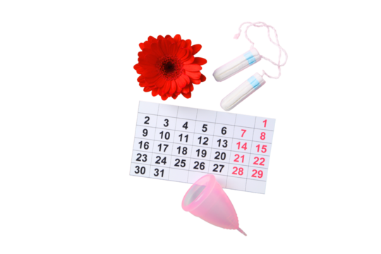 Feminine hygiene and menstruation, Feminine hygiene products with a calendar and flower, isolated on white, PNG