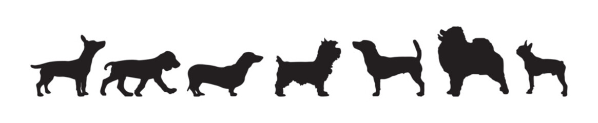 set stand dog animal silhouette
