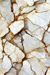 Fototapeta premium Cracked White and Gold Marble Texture