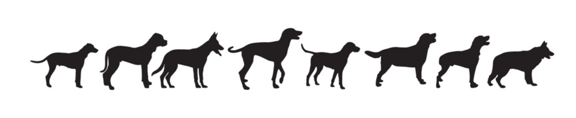 set dog animal silhouette