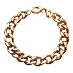 Obraz premium Gold Chain Bracelet Luxury Jewelery Fashion Accessory