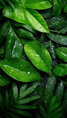 Fototapeta premium Lush Tropical Leaves Close-up