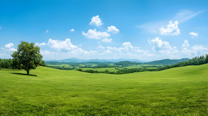 Obraz premium Panoramic View Of A Green Field Under A Bright Blue Sky With Scattered Clouds And A Lone Tree