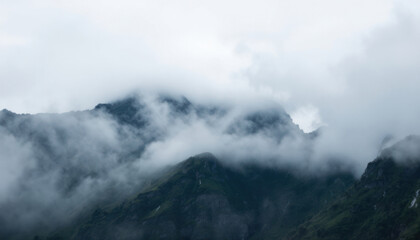 fog in the mountains