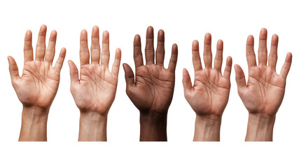 diversity hands, unity concept on white background.