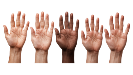 diversity hands, unity concept on white background.
