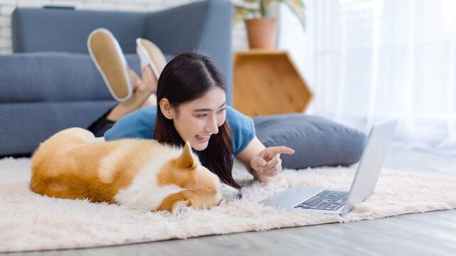 Asian young beautiful woman happy smile with cute welsh corgi dog lying on carpet floor using laptop computer in living room at home concept working with best friend animals lifestyle balance love pet - Powered by Adobe