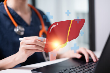 Doctor holding liver transplant cancer disease health alcoholic fat hepatitis medicine care concept