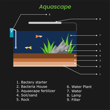 part of aquarium. aquascape with substrat and aquatic plant