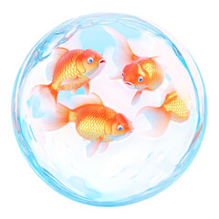 fish swimming in a vibrant water bowl