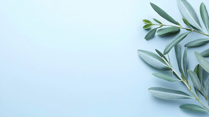 Fototapeta premium Light Blue Background With Olive Branch