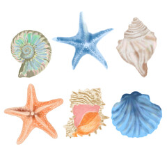 Shell, Starfish, Sea, Beauty, Decor, Watercolor, Digital, Painting, Relaxation, illustration,beautiful
