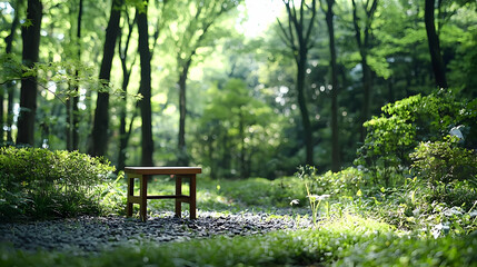 Wooden chair on a path surrounded by lush green foliage and trees in a sunlit forest park