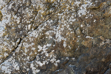 rock texture with cracks stone background with copy space for design