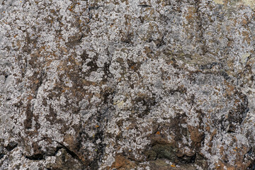 Naklejka premium rock texture with cracks stone background with copy space for design