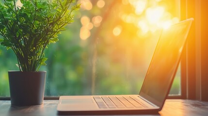 Program Employee attending an online training program on a laptop at home.