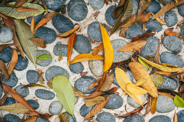 A pile of garbage made of dried tropical leaves on a stone garden path.
