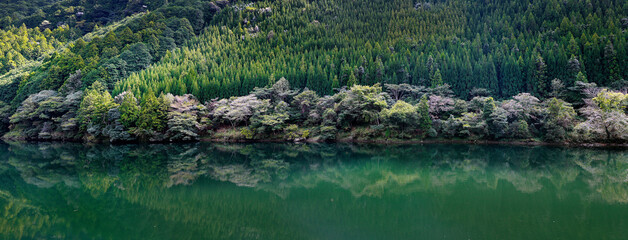 Reflection of Forest in a lake in Japan before autumn season	