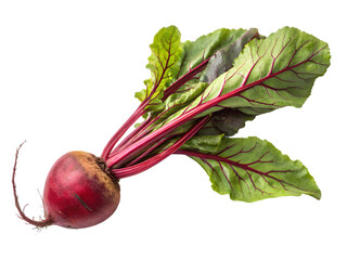 Fresh Organic Beetroot with Leaves isolated on transparent background