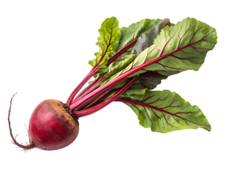 Fresh Organic Beetroot with Leaves isolated on transparent background
