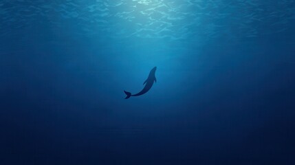 Whale Silhouette Deep Ocean Underwater Scene.