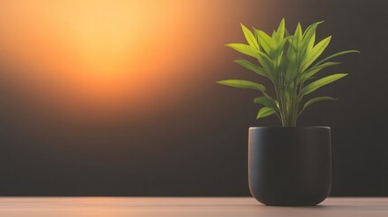 Fototapeta premium Potted plant in muted sunset light