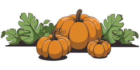 Pumpkin plant isolated