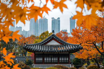 Obraz premium autumn leaves at a temple and city