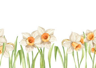 Seamless border with daffodils, hand drawn banner spring flowers theme.