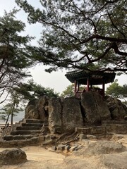 Naklejka premium Pavilion and old tree on a cliff in Korea