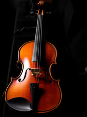 Fototapeta premium violin