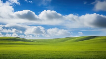 Obraz premium Natural landscape of green grassland with white clouds floating in the blue sky.