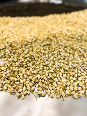 Closeup of dried jasmine tea leaves on a metal table.