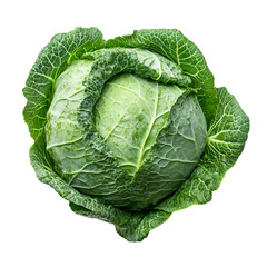 Obraz premium Fresh Green Cabbage Isolated on Black Background