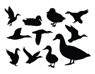 duck silhouettes