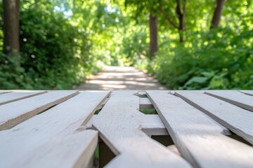 Fototapeta premium Wooden park bench overlooking a pathway through a lush green forest
