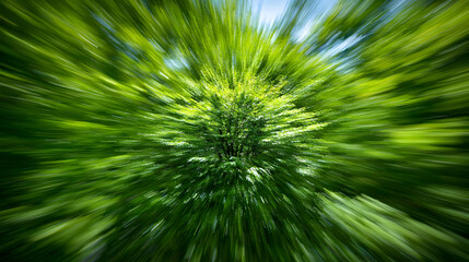 Obraz premium Abstract Green Zoom Blur Effect with Bright Center Light and Blurred Leaves for Nature Background