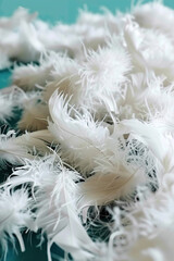 White fluffy feathers softly scattered across smooth pale teal background, creating delicate, airy composition