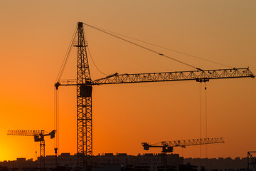 cranes against the sunset sky