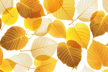 Fototapeta premium Dried petals arranged artistically, showcasing monochrome textures with soft natural lighting
