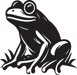frog vector illustration