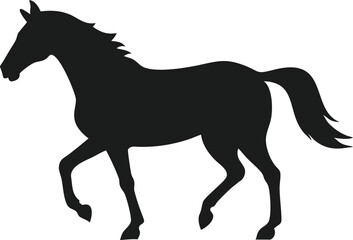 horse silhouette isolated on white background 
