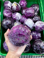 Hand Holding fresh ripe red cabbages wrapped in plastic wrap displayed on supermarket