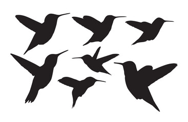 hummingbird silhouette
