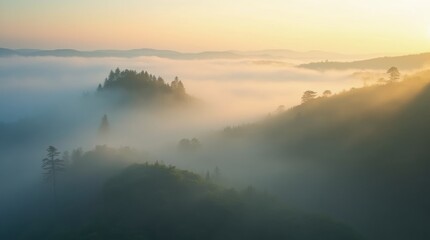 An aerial view of rolling hills covered in dense mist, with tree tops peeking through the fog and soft golden sunlight breaking through the clouds