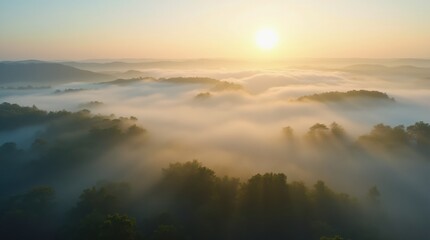 Fototapeta premium An aerial view of rolling hills covered in dense mist, with tree tops peeking through the fog and soft golden sunlight breaking through the clouds