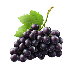 Fototapeta premium Luscious Dark Grapes Glistening With Dew, A Vibrant Cluster Ripe For Harvest, Showcasing Natures Bounty In A Lifelike Depiction Isolated on Transparent Background